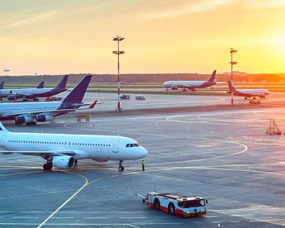 pet travel airlines cheap What do I do if my flight is grounded?
