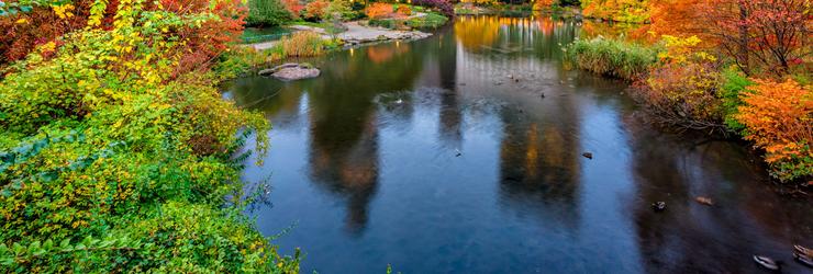 Cheap Flights to New York, New York (NY) - Search Deals on Airfare to ...