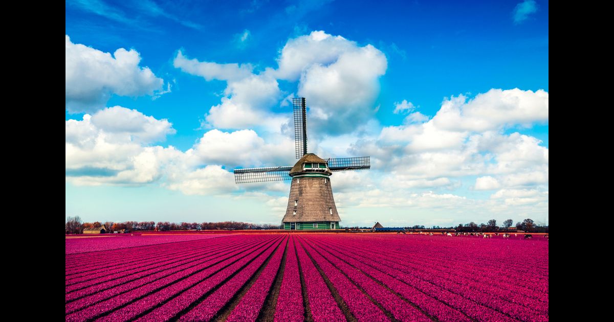 Cheap Flights to Netherlands from 236