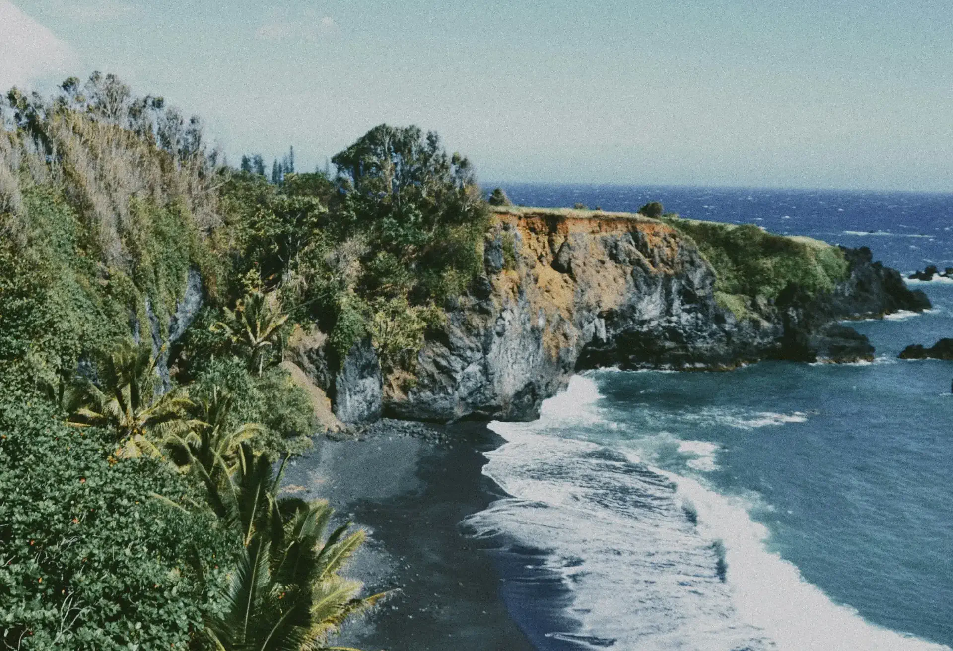 A view of costal cliffs with plenty of trees and plants overlooking a blue sea.